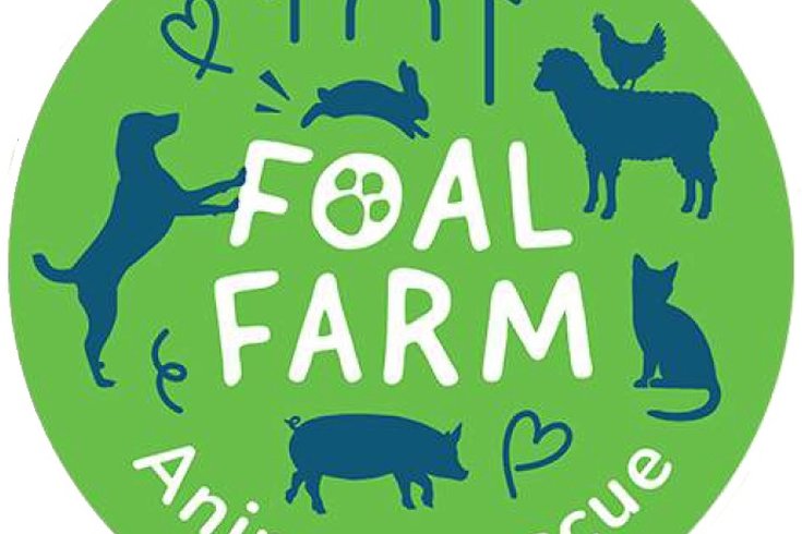 Foal Farm logo