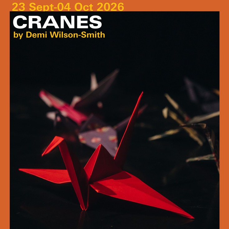Folded colourful origami cranes sit in darkness, shadows fall across them.