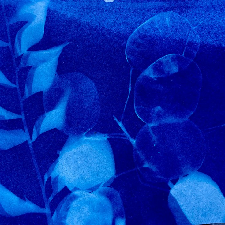CYANOTYPES