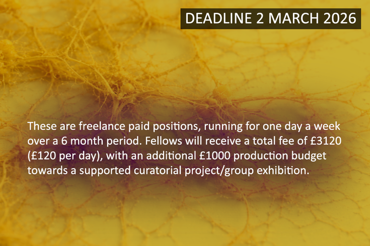 in vitro: Fellowship Open Call