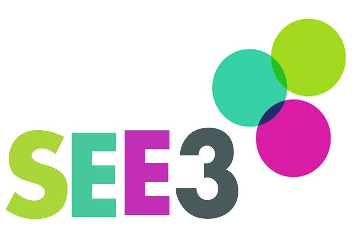 See3 Logo