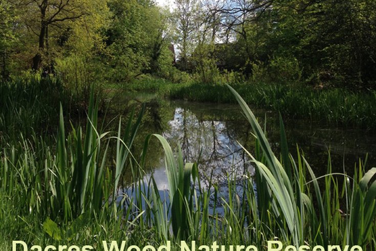 Dacres Wood Nature Reserve