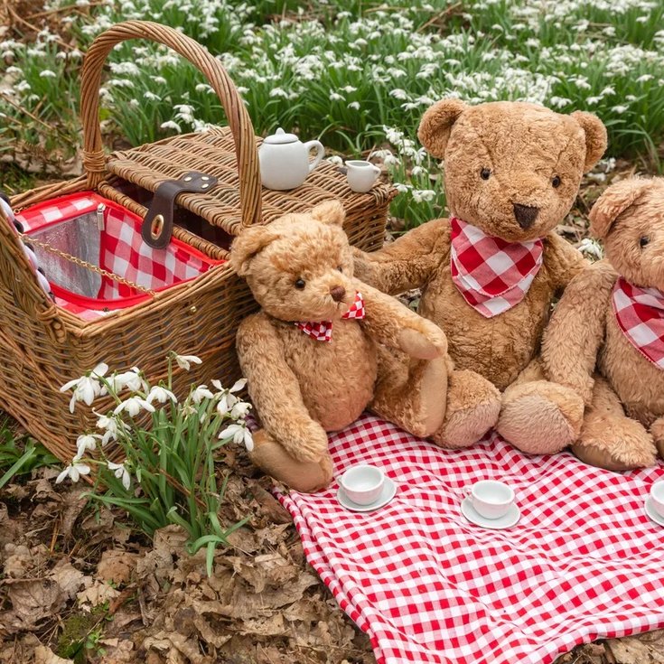 Teddy bears picnic