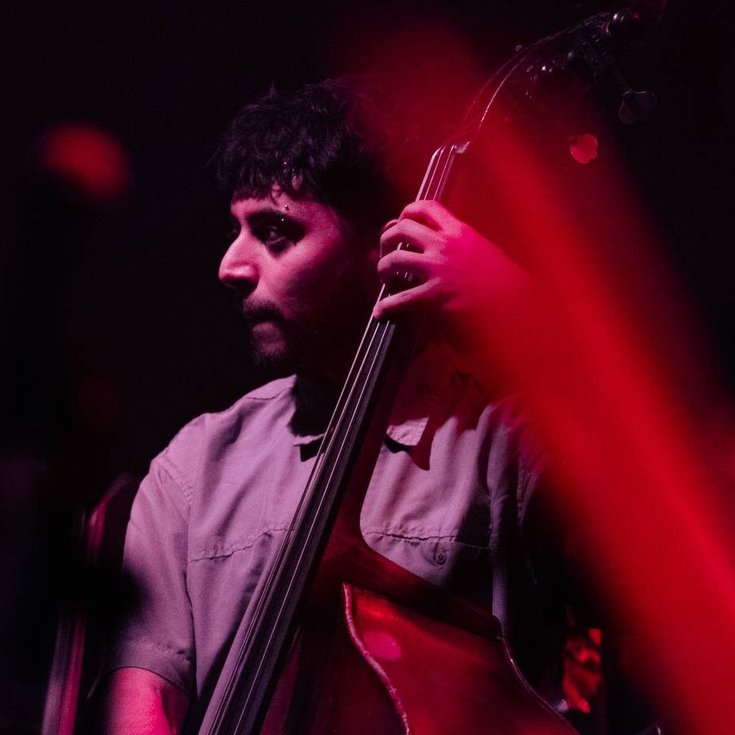 A musician playing the double bass