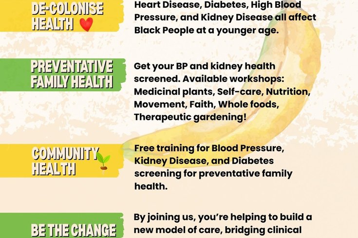 The Plantain Programme Flyer