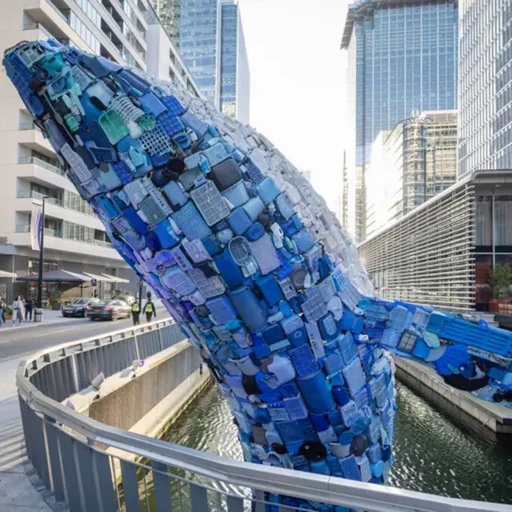 whales