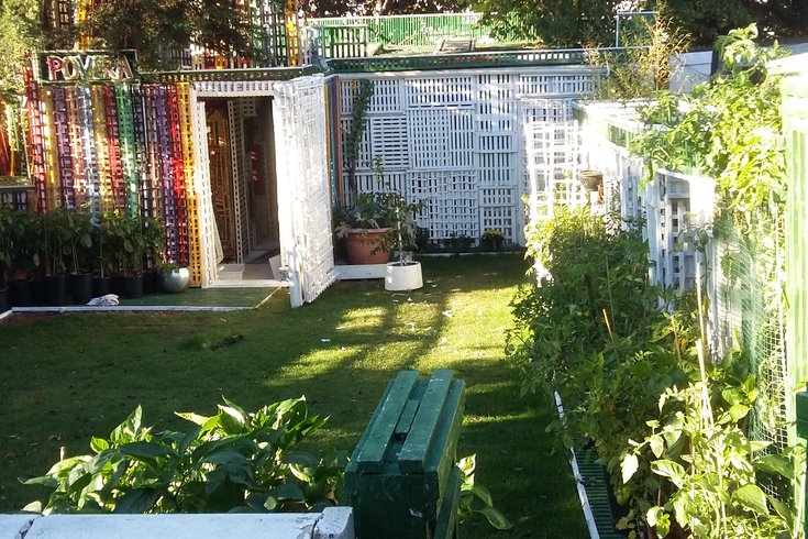 Image from a distance pf Povera Shed and the garden