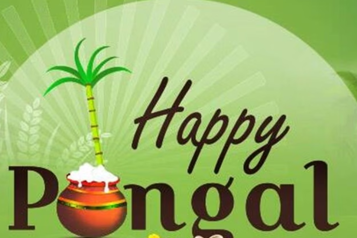 Happy Pongal graphic