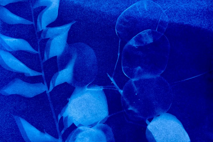 CYANOTYPES