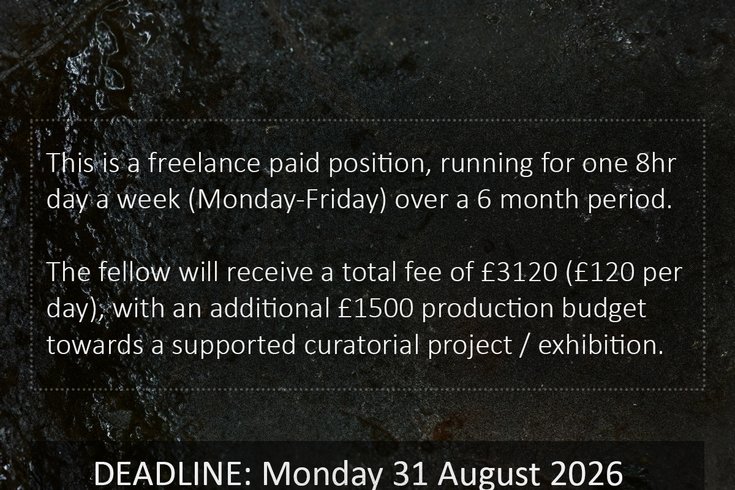 in vitro: Gallery Fellowship Open Call
