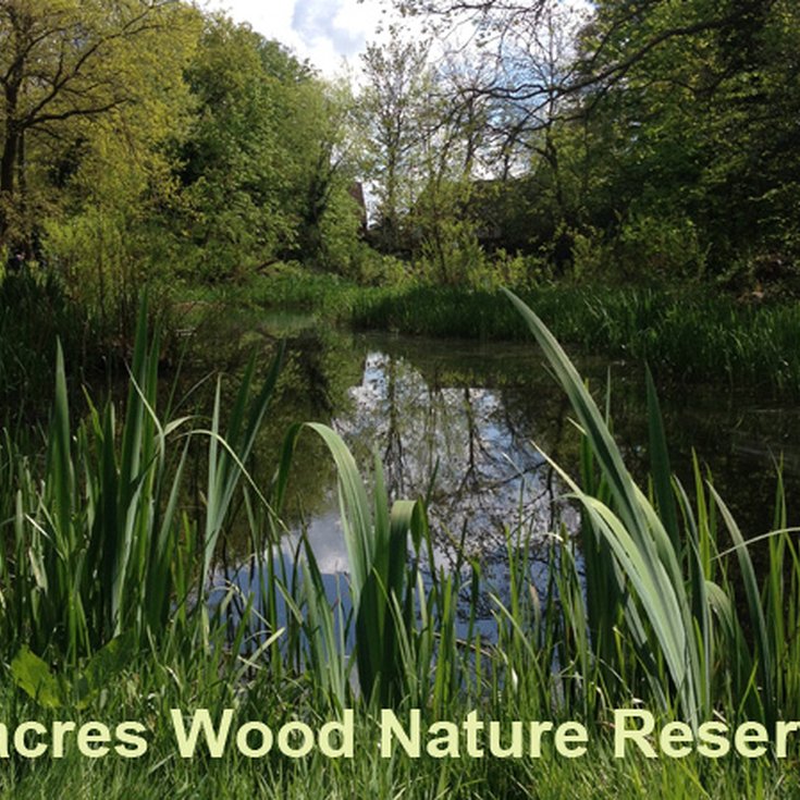 Dacres Wood Nature Reserve