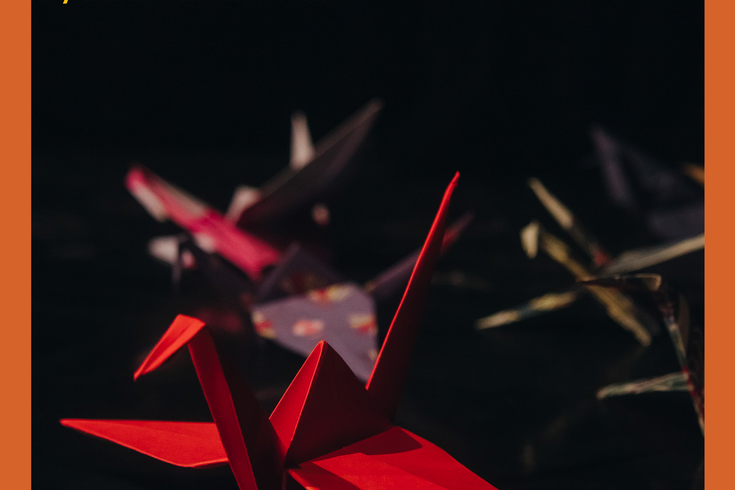 Folded colourful origami cranes sit in darkness, shadows fall across them.