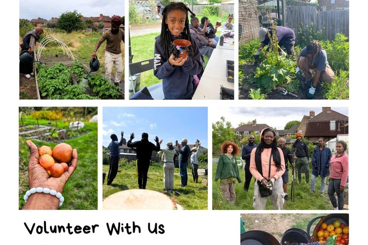 Coco Collective- Ital Community Gardens