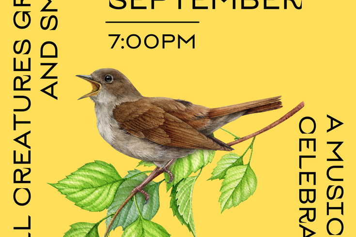 a vibrant poster with a bird on a branch, announcing our concert, 'All Creatures Great and Small' 26th Sept, 7pm at St Andrew's Church.
