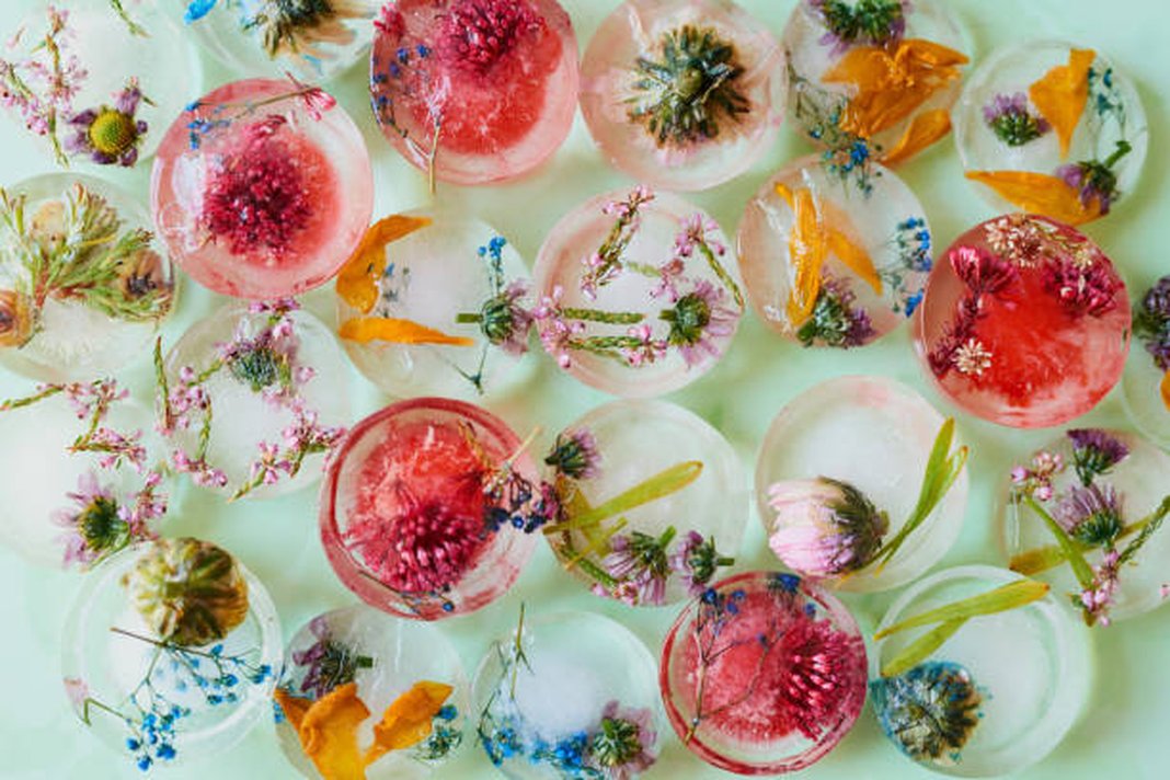 Family Workshop - 'Flora' Resin Masterclass
