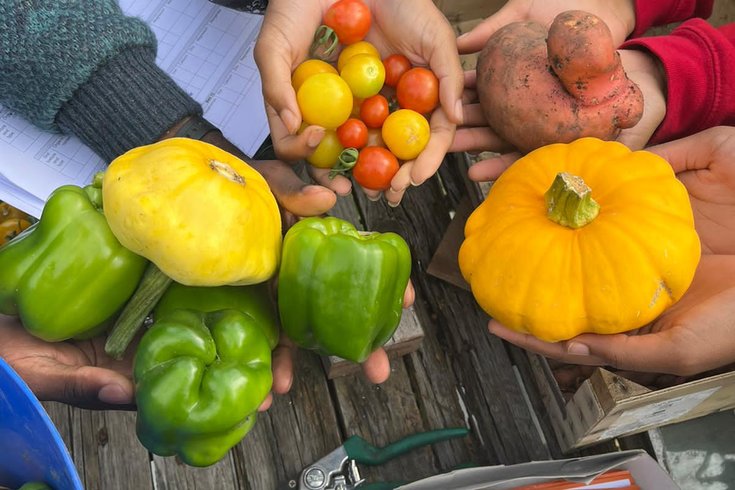 Coco Collective- Ital Community Gardens