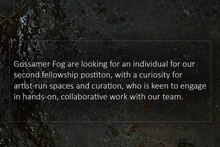 in vitro: Gallery Fellowship Open Call