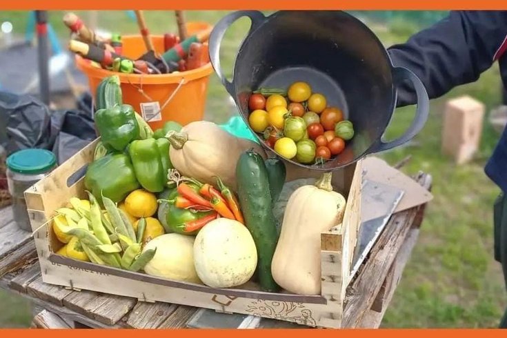 Coco Collective- Ital Community Gardens