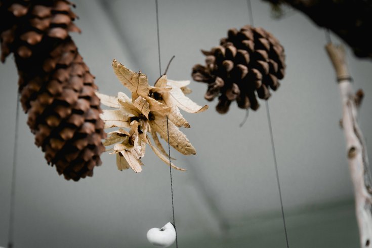 pinecones