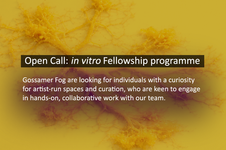 in vitro: Fellowship Open Call