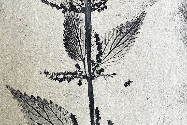 Make your Mark: Free printmaking workshop for wellbeing