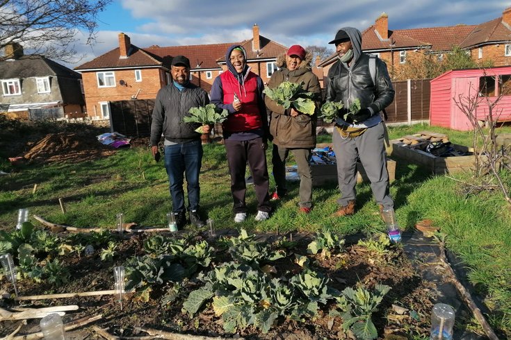 Coco Collective- Ital Community Gardens