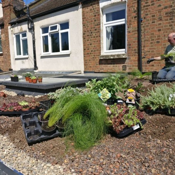 A roof being planted with perrenial plants