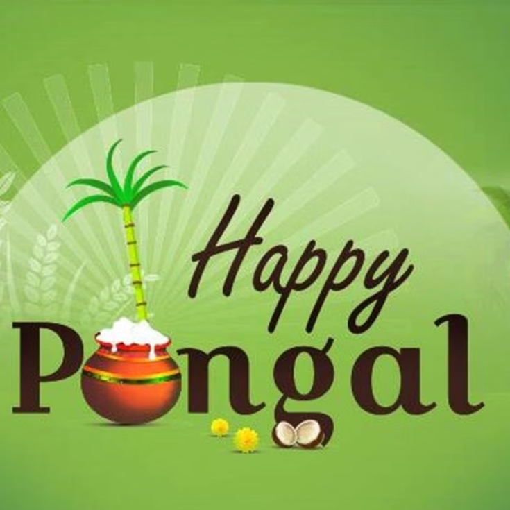 Happy Pongal graphic