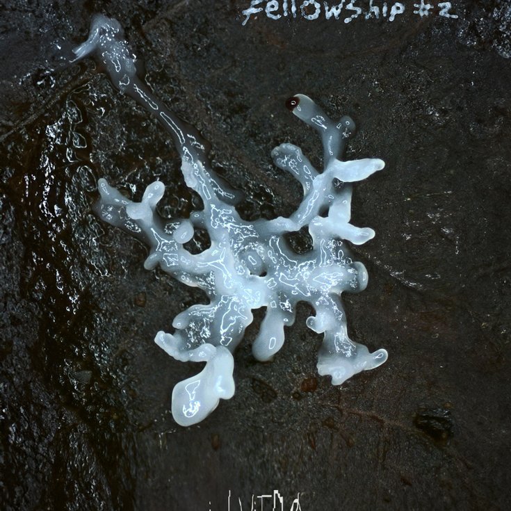 in vitro: Fellowship #2 Open Call Poster
