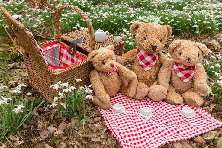 Teddy bears picnic
